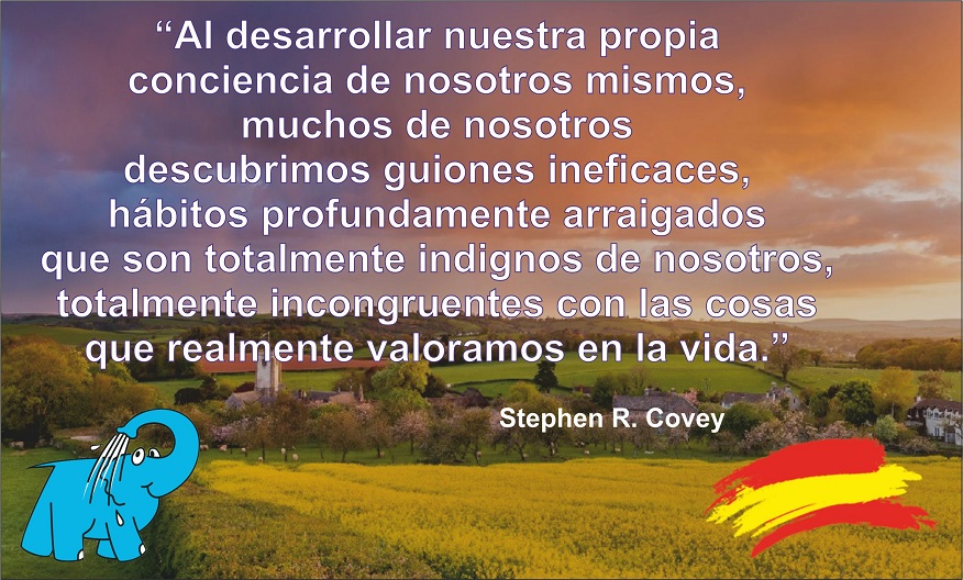 Al desarrollar nuestra propia conciencia de nosotros mismos, muchos de nosotros descubrimos guiones ineficaces, hábitos profundamente arraigados que son totalmente indignos de nosotros, totalmente incongruentes con las cosas que realmente valoramos en la vida.